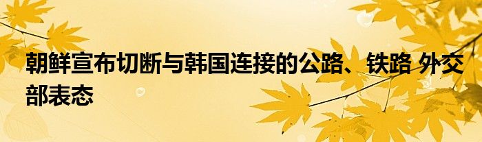 朝鲜宣布切断与韩国连接的公路、铁路 外交部表态