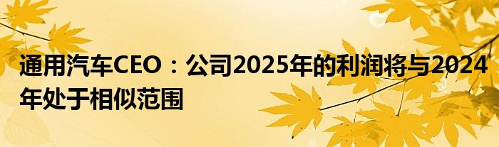通用汽车CEO:公司2025年的利润将与2024年处于相似范围
