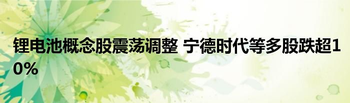 锂电池概念股震荡调整 宁德时代等多股跌超10%