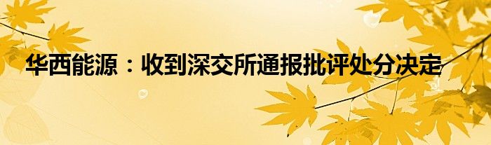 华西能源:收到深交所通报批评处分决定