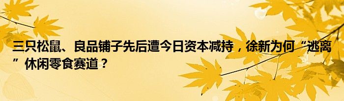 三只松鼠、良品铺子先后遭今日资本减持,徐新为何“逃离”休闲零食赛道?