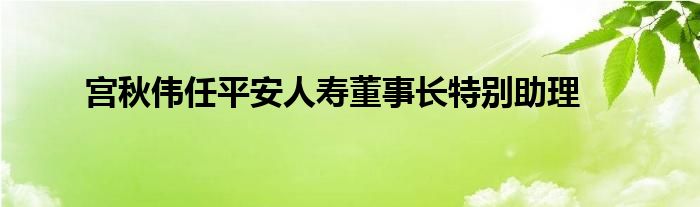 宫秋伟任平安人寿董事长特别助理