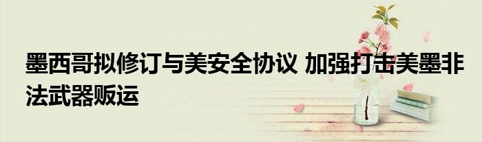 墨西哥拟修订与美安全协议 加强打击美墨非法武器贩运