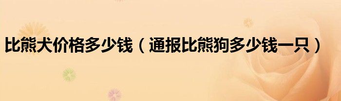 比熊犬价格多少钱(通报比熊狗多少钱一只)