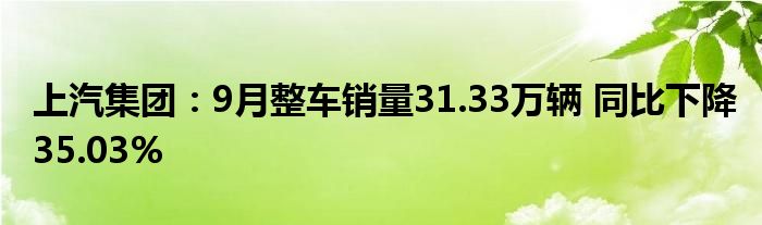 上汽集团:9月整车销量31.33万辆 同比下降35.03%