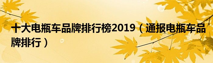 十大电瓶车品牌排行榜2019(通报电瓶车品牌排行)