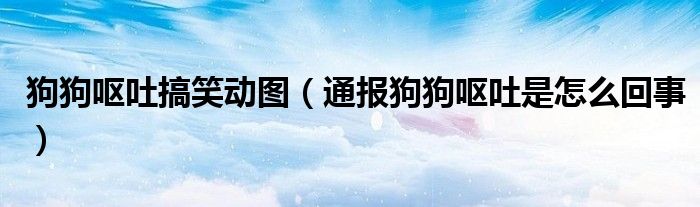 狗狗呕吐搞笑动图(通报狗狗呕吐是怎么回事)
