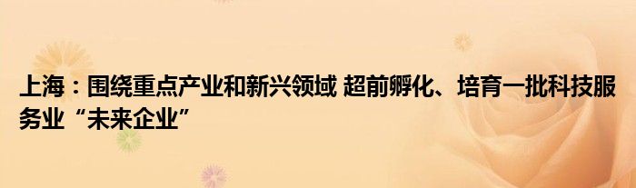 上海:围绕重点产业和新兴领域 超前孵化、培育一批科技服务业“未来企业”