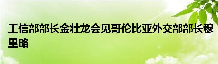 工信部部长金壮龙会见哥伦比亚外交部部长穆里略