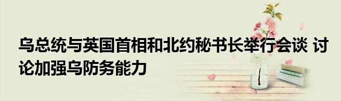 乌总统与英国首相和北约秘书长举行会谈 讨论加强乌防务能力