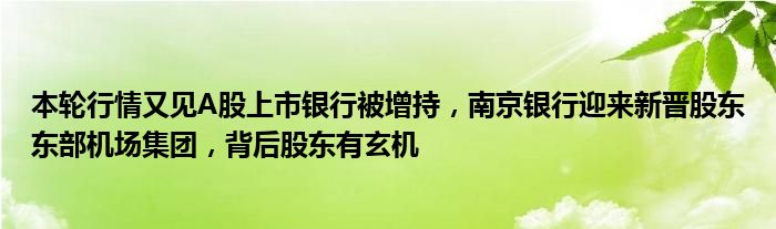 本轮行情又见A股上市银行被增持,南京银行迎来新晋股东东部机场集团,背后股东有玄机