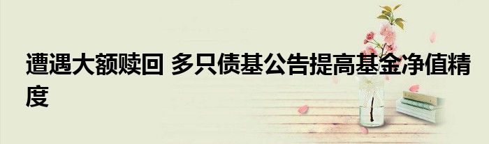 遭遇大额赎回 多只债基公告提高基金净值精度
