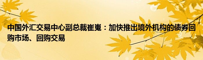 中国外汇交易中心副总裁崔嵬:加快推出境外机构的债券回购市场、回购交易