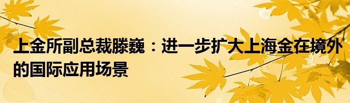 上金所副总裁滕巍:进一步扩大上海金在境外的国际应用场景