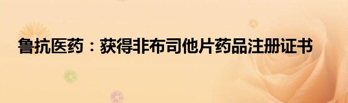 鲁抗医药:获得非布司他片药品注册证书