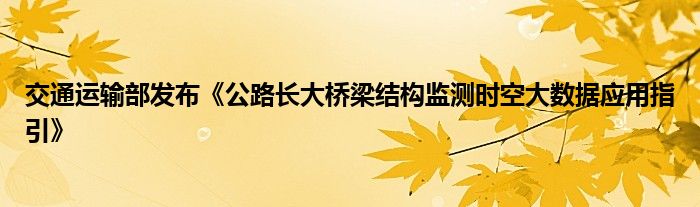 交通运输部发布《公路长大桥梁结构监测时空大数据应用指引》