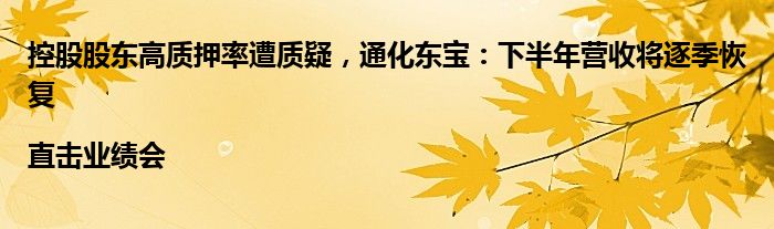 控股股东高质押率遭质疑,通化东宝:下半年营收将逐季恢复|直击业绩会