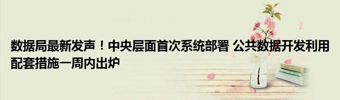 数据局最新发声!中央层面首次系统部署 公共数据开发利用配套措施一周内出炉
