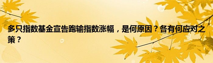 多只指数基金宣告跑输指数涨幅,是何原因?各有何应对之策?