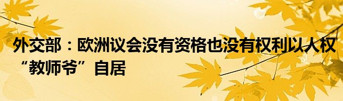 外交部:欧洲议会没有资格也没有权利以人权“教师爷”自居