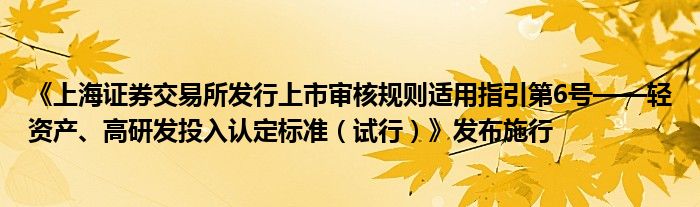 《上海证券交易所发行上市审核规则适用指引第6号——轻资产、高研发投入认定标准(试行)》发布施行