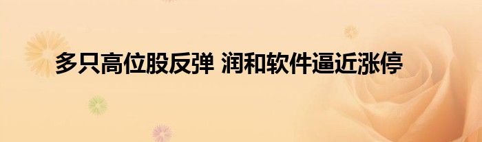 多只高位股反弹 润和软件逼近涨停