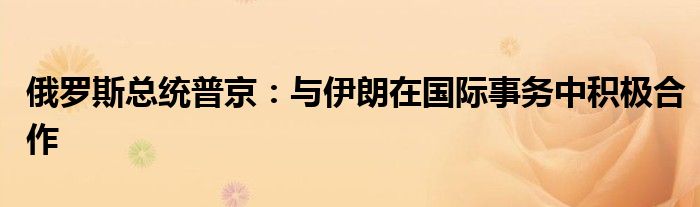 俄罗斯总统普京:与伊朗在国际事务中积极合作