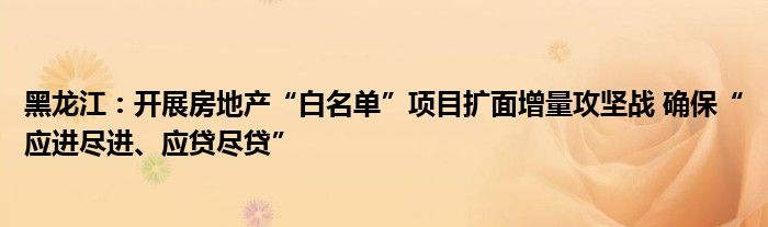 黑龙江:开展房地产“白名单”项目扩面增量攻坚战 确保“应进尽进、应贷尽贷”