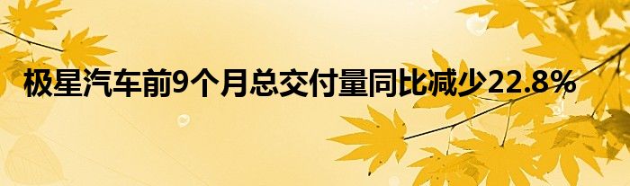 极星汽车前9个月总交付量同比减少22.8%