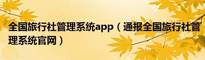 全国旅行社管理系统app(通报全国旅行社管理系统官网)