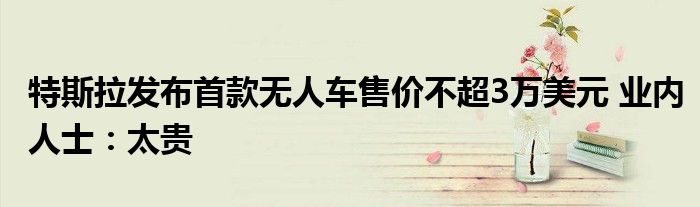 特斯拉发布首款无人车售价不超3万美元 业内人士:太贵