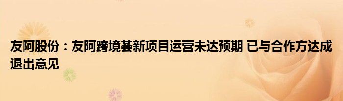 友阿股份:友阿跨境荟新项目运营未达预期 已与合作方达成退出意见