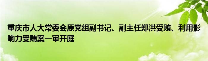 重庆市人大常委会原党组副书记、副主任郑洪受贿、利用影响力受贿案一审开庭