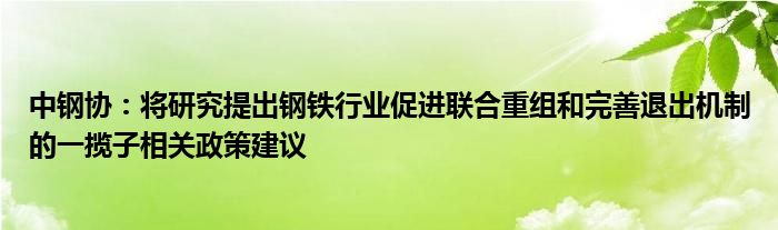 中钢协:将研究提出钢铁行业促进联合重组和完善退出机制的一揽子相关政策建议