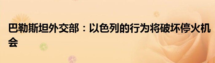 巴勒斯坦外交部:以色列的行为将破坏停火机会