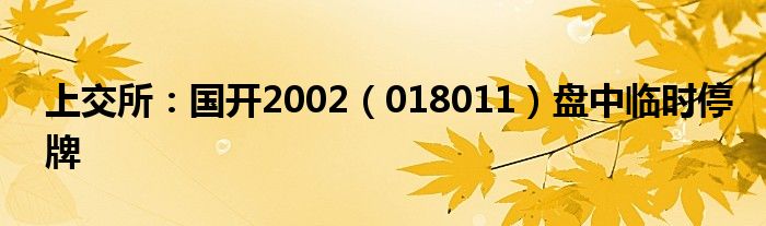 上交所:国开2002(018011)盘中临时停牌
