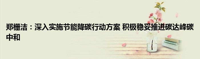 郑栅洁:深入实施节能降碳行动方案 积极稳妥推进碳达峰碳中和