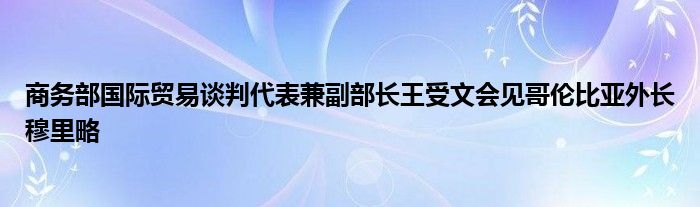 商务部国际贸易谈判代表兼副部长王受文会见哥伦比亚外长穆里略