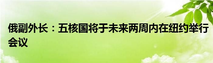 俄副外长:五核国将于未来两周内在纽约举行会议