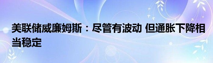 美联储威廉姆斯:尽管有波动 但通胀下降相当稳定