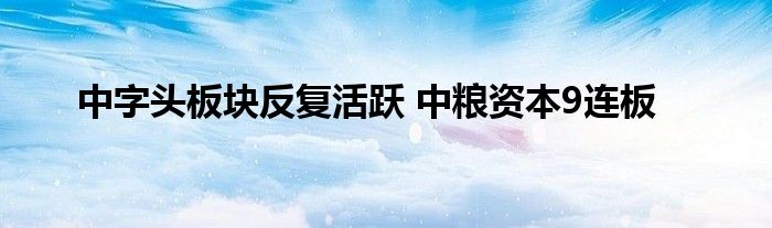 中字头板块反复活跃 中粮资本9连板