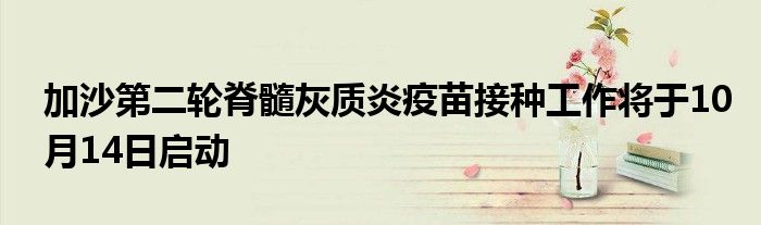 加沙第二轮脊髓灰质炎疫苗接种工作将于10月14日启动
