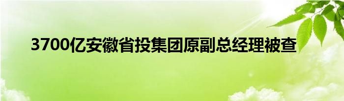 3700亿安徽省投集团原副总经理被查