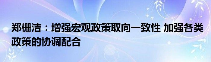 郑栅洁:增强宏观政策取向一致性 加强各类政策的协调配合