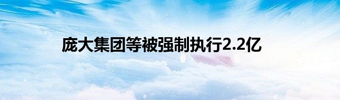 庞大集团等被强制执行2.2亿