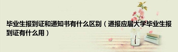 毕业生报到证和通知书有什么区别(通报应届大学毕业生报到证有什么用)