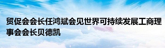 贸促会会长任鸿斌会见世界可持续发展工商理事会会长贝德凯