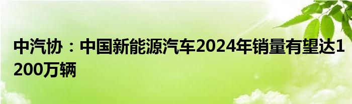 中汽协:中国新能源汽车2024年销量有望达1200万辆