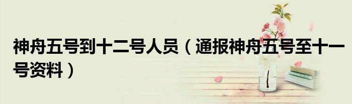 神舟五号到十二号人员(通报神舟五号至十一号资料)