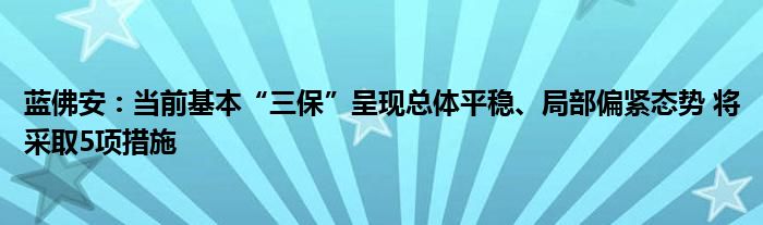 蓝佛安:当前基本“三保”呈现总体平稳、局部偏紧态势 将采取5项措施